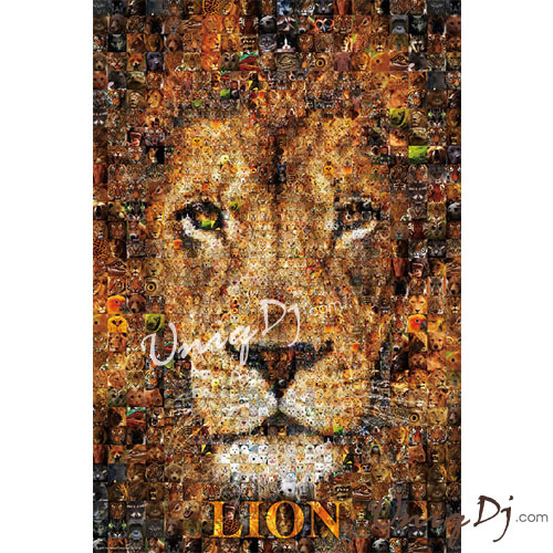 Lion！獅子！1000片拼圖