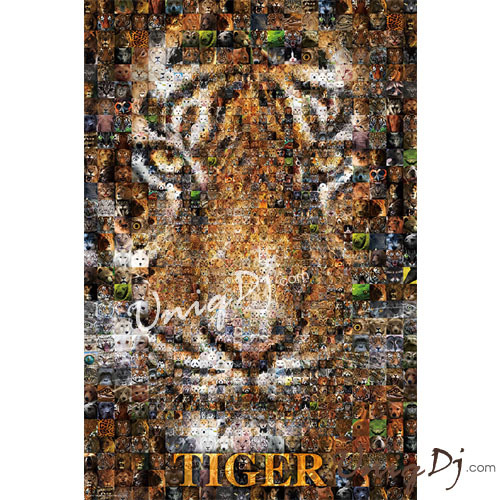 Tiger！老虎！1000片拼圖