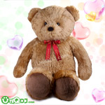 泰迪熊_胖熊愛妳(47吋)超大熊熊